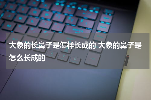 大象的长鼻子是怎样长成的 大象的鼻子是怎么长成的