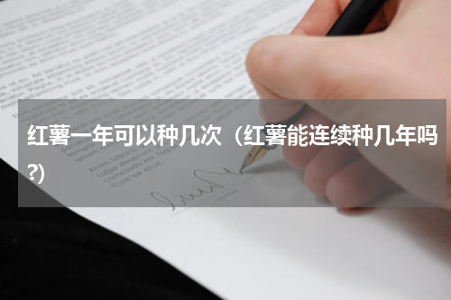 红薯一年可以种几次（红薯能连续种几年吗?）