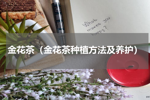 金花茶（金花茶种植方法及养护）