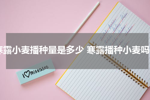 寒露小麦播种量是多少 寒露播种小麦吗
