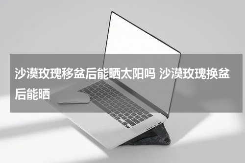 沙漠玫瑰移盆后能晒太阳吗 沙漠玫瑰换盆后能晒