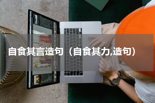 自食其言造句（自食其力,造句）