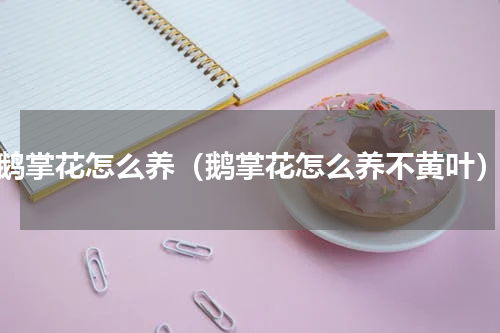 鹅掌花怎么养（鹅掌花怎么养不黄叶）