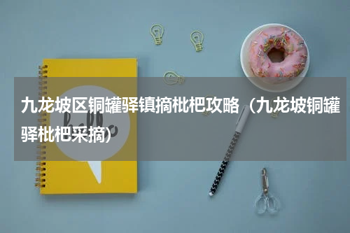 九龙坡区铜罐驿镇摘枇杷攻略（九龙坡铜罐驿枇杷采摘）