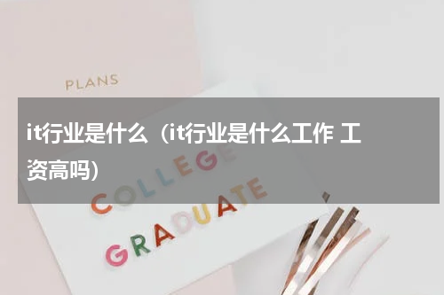 it行业是什么（it行业是什么工作 工资高吗）