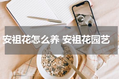 安祖花怎么养 安祖花园艺