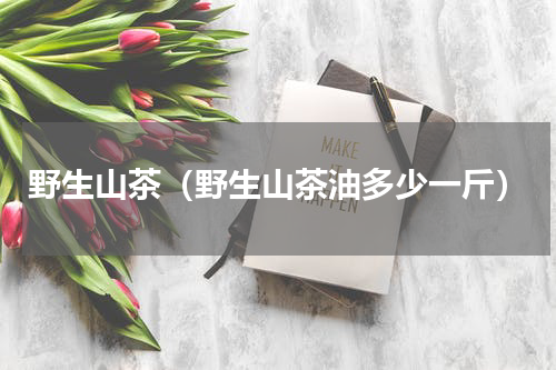 野生山茶（野生山茶油多少一斤）