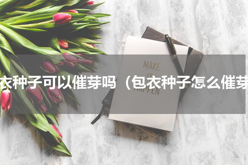 包衣种子可以催芽吗（包衣种子怎么催芽）