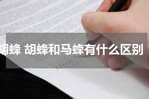 胡蜂 胡蜂和马蜂有什么区别