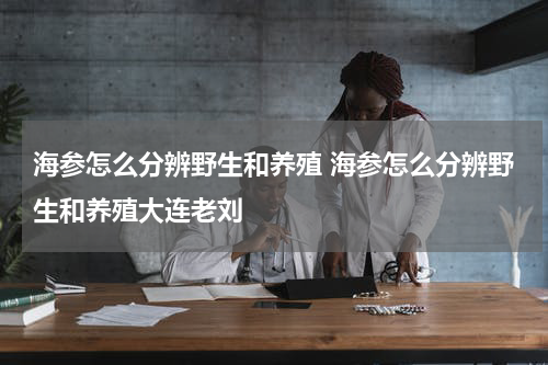 海参怎么分辨野生和养殖 海参怎么分辨野生和养殖大连老刘