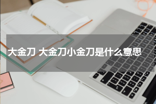 大金刀 大金刀小金刀是什么意思