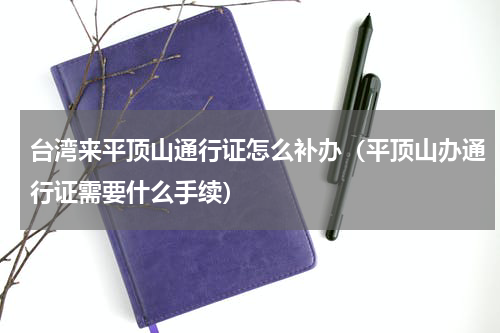 台湾来平顶山通行证怎么补办（平顶山办通行证需要什么手续）