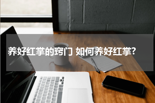 养好红掌的窍门 如何养好红掌?