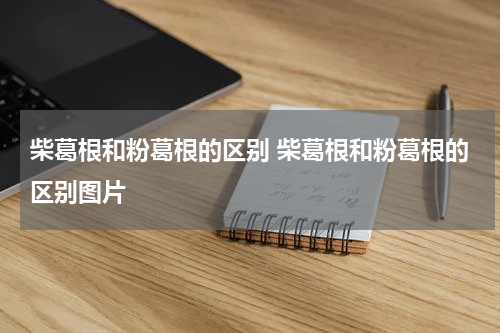 柴葛根和粉葛根的区别 柴葛根和粉葛根的区别图片