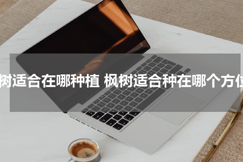 枫树适合在哪种植 枫树适合种在哪个方位