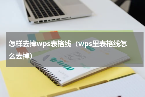 怎样去掉wps表格线（wps里表格线怎么去掉）