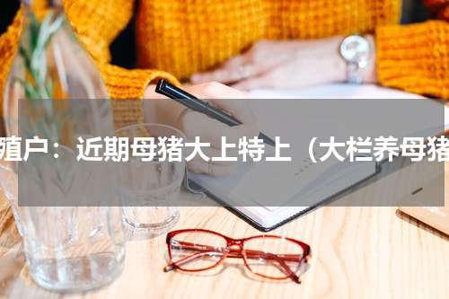 养殖户：近期母猪大上特上（大栏养母猪）