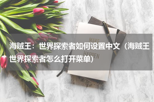 海贼王：世界探索者如何设置中文（海贼王世界探索者怎么打开菜单）