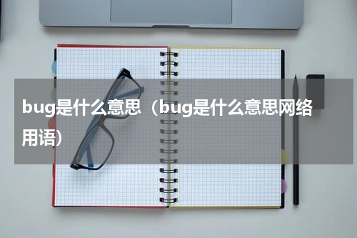 bug是什么意思（bug是什么意思网络用语）