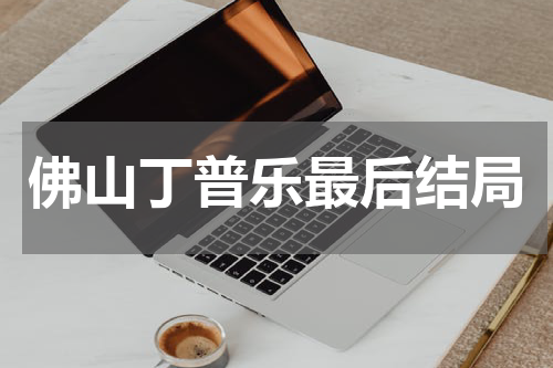 佛山丁普乐最后结局