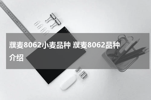 濮麦8062小麦品种 濮麦8062品种介绍