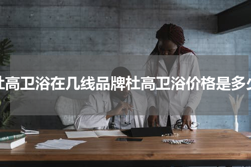 杜高卫浴在几线品牌杜高卫浴价格是多少