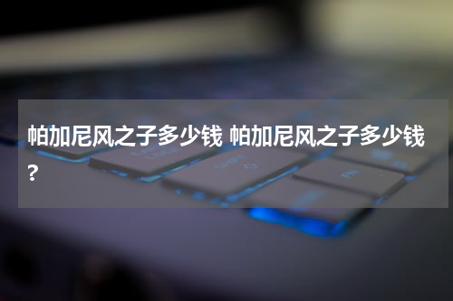 帕加尼风之子多少钱 帕加尼风之子多少钱?