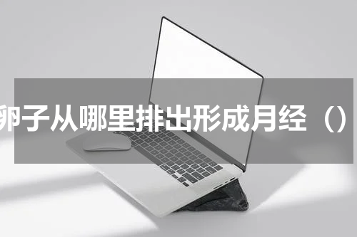 卵子从哪里排出形成月经（）