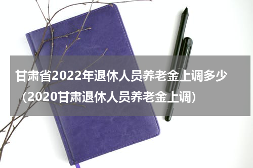 甘肃省2022年退休人员养老金上调多少（2020甘肃退休人员养老金上调）