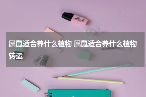 属鼠适合养什么植物 属鼠适合养什么植物转运