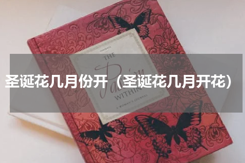 圣诞花几月份开（圣诞花几月开花）