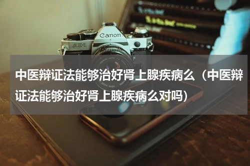 中医辩证法能够治好肾上腺疾病么（中医辩证法能够治好肾上腺疾病么对吗）