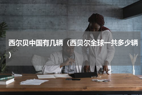 西尔贝中国有几辆（西贝尔全球一共多少辆）