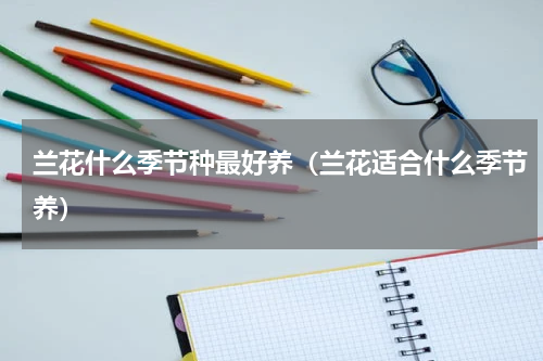兰花什么季节种最好养（兰花适合什么季节养）