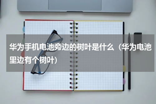 华为手机电池旁边的树叶是什么（华为电池里边有个树叶）