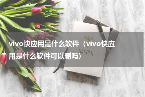 vivo快应用是什么软件（vivo快应用是什么软件可以删吗）