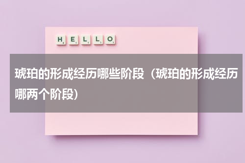 琥珀的形成经历哪些阶段（琥珀的形成经历哪两个阶段）