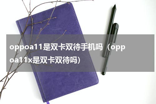 oppoa11是双卡双待手机吗（oppoa11x是双卡双待吗）