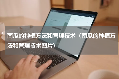 南瓜的种植方法和管理技术（南瓜的种植方法和管理技术图片）