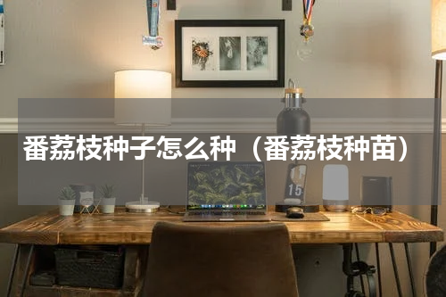 番荔枝种子怎么种（番荔枝种苗）