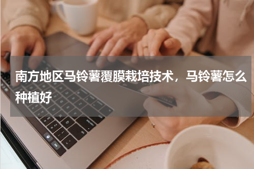 南方地区马铃薯覆膜栽培技术，马铃薯怎么种植好