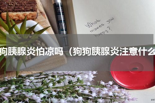 狗狗胰腺炎怕凉吗（狗狗胰腺炎注意什么）