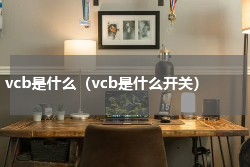 vcb是什么（vcb是什么开关）