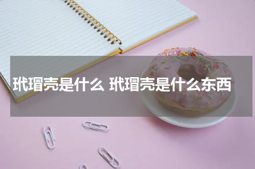 玳瑁壳是什么 玳瑁壳是什么东西