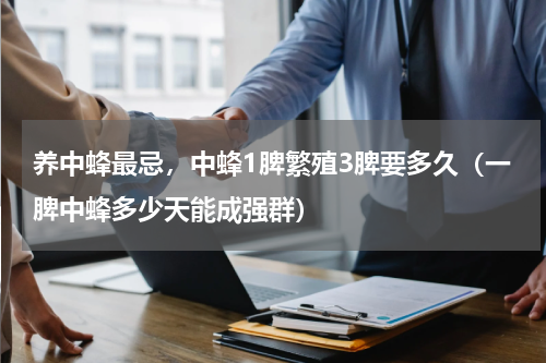 养中蜂最忌，中蜂1脾繁殖3脾要多久（一脾中蜂多少天能成强群）
