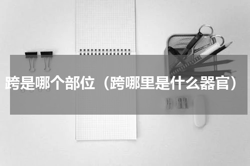 跨是哪个部位（跨哪里是什么器官）