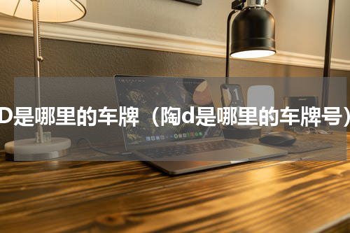 陶D是哪里的车牌（陶d是哪里的车牌号）