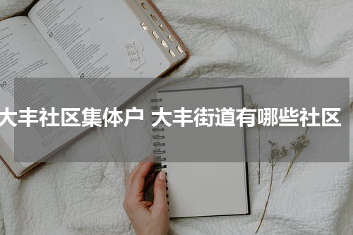 大丰社区集体户 大丰街道有哪些社区