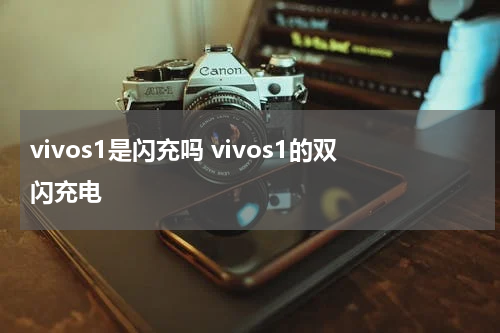 vivos1是闪充吗 vivos1的双闪充电