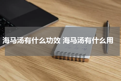海马汤有什么功效 海马汤有什么用